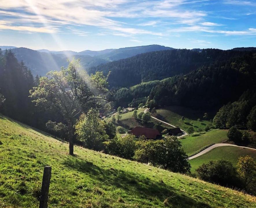 Photo of Others in Hausach