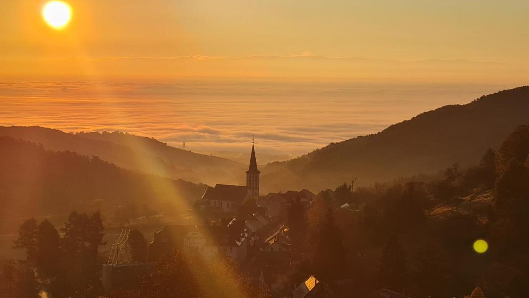 Photo of Others in Thannenkirch