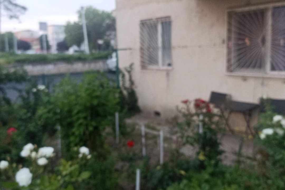 Photo of Others in Doua Mai