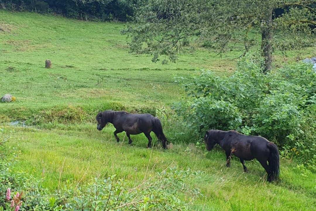 Photo of Others in Le Thillot