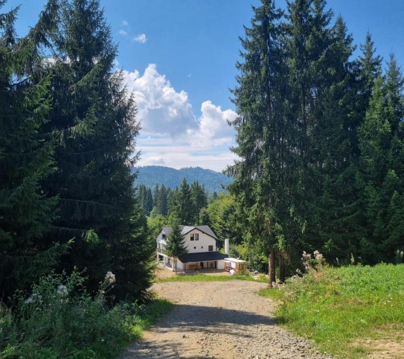 Photo of Others in Colibita