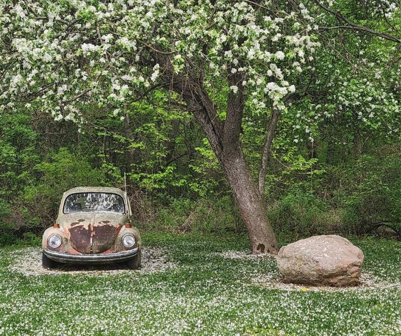 Photo of Outdoor in Waterford