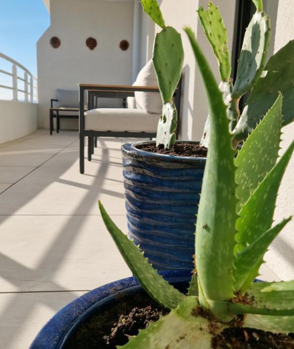 Photo of Patio Balcony in Valras-Plage