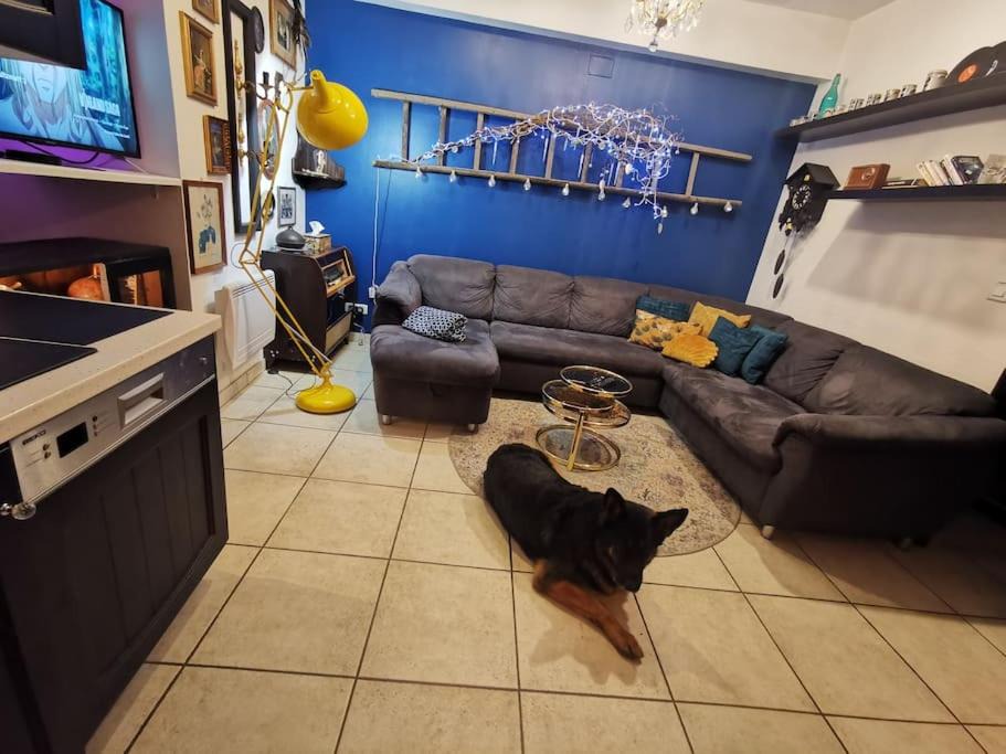 Photo of Livingroom in Soultzmatt