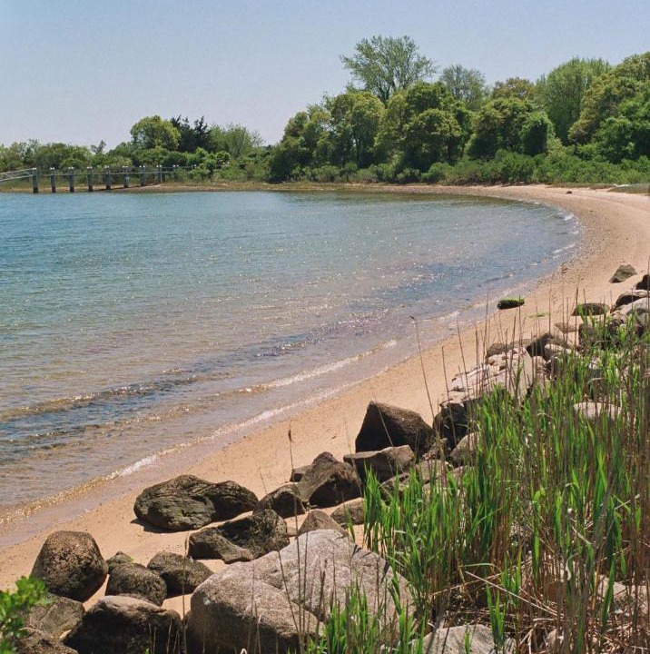 Photo of Others in Montauk