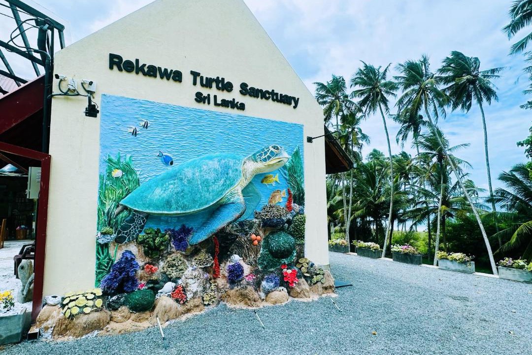 Photo of Others in Rekawa