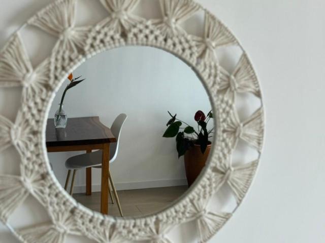 Photo of Others in Estreito da Calheta