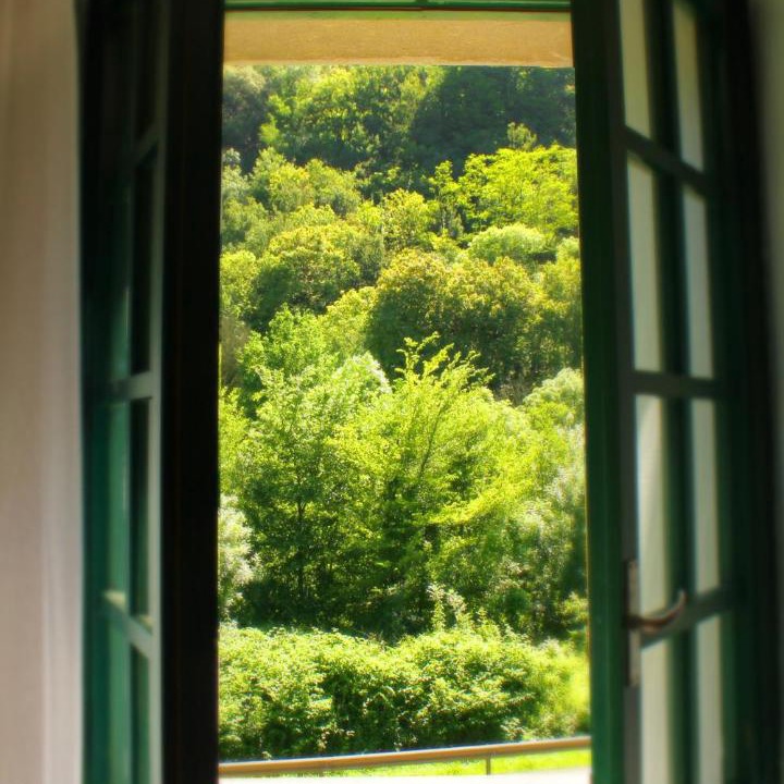 Photo of Others in Azpeitia