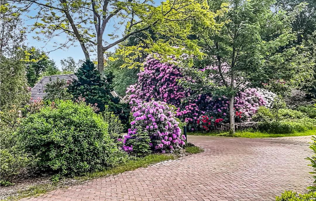 Photo of Outdoor in Zorgvlied