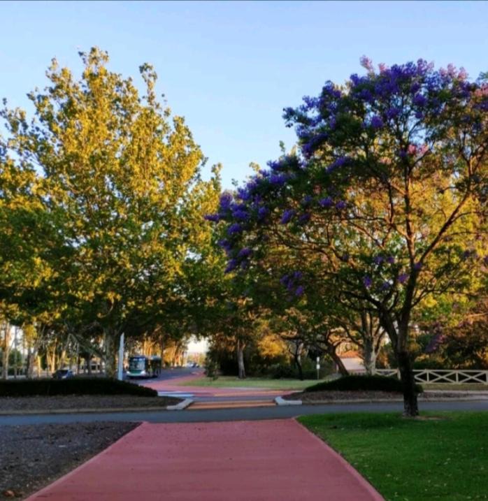 Photo of Others in Canning Vale