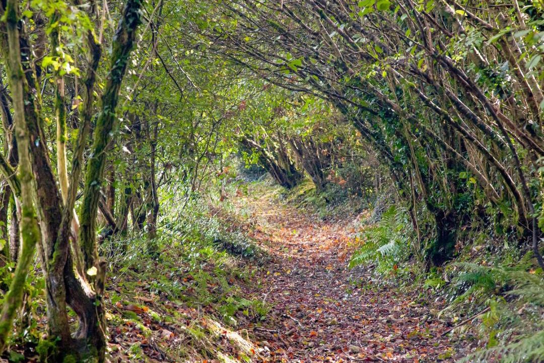 Photo of Others in Sticklepath