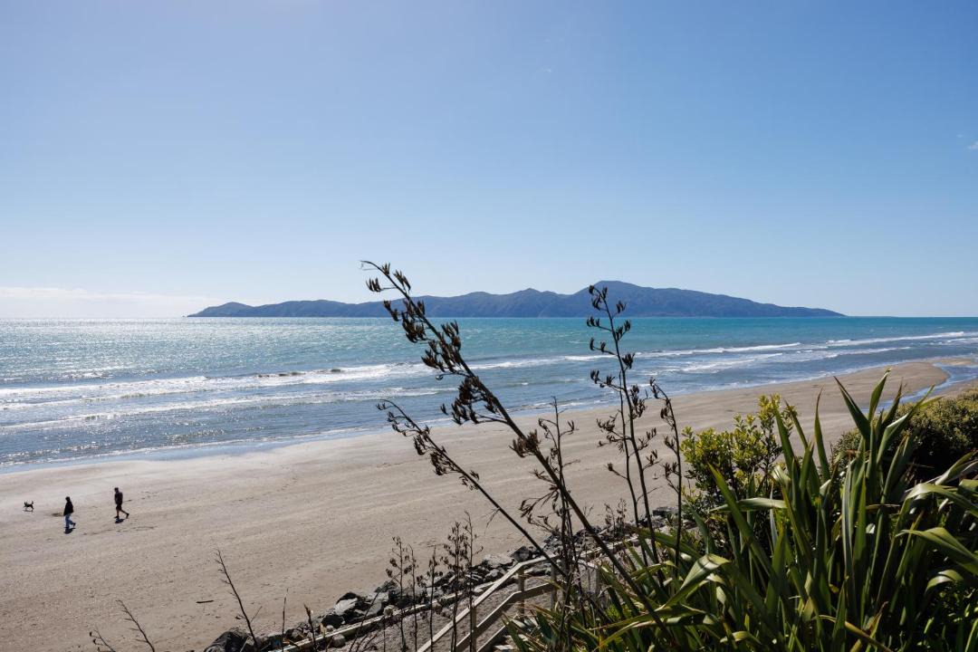 Photo of Others in Raumati South