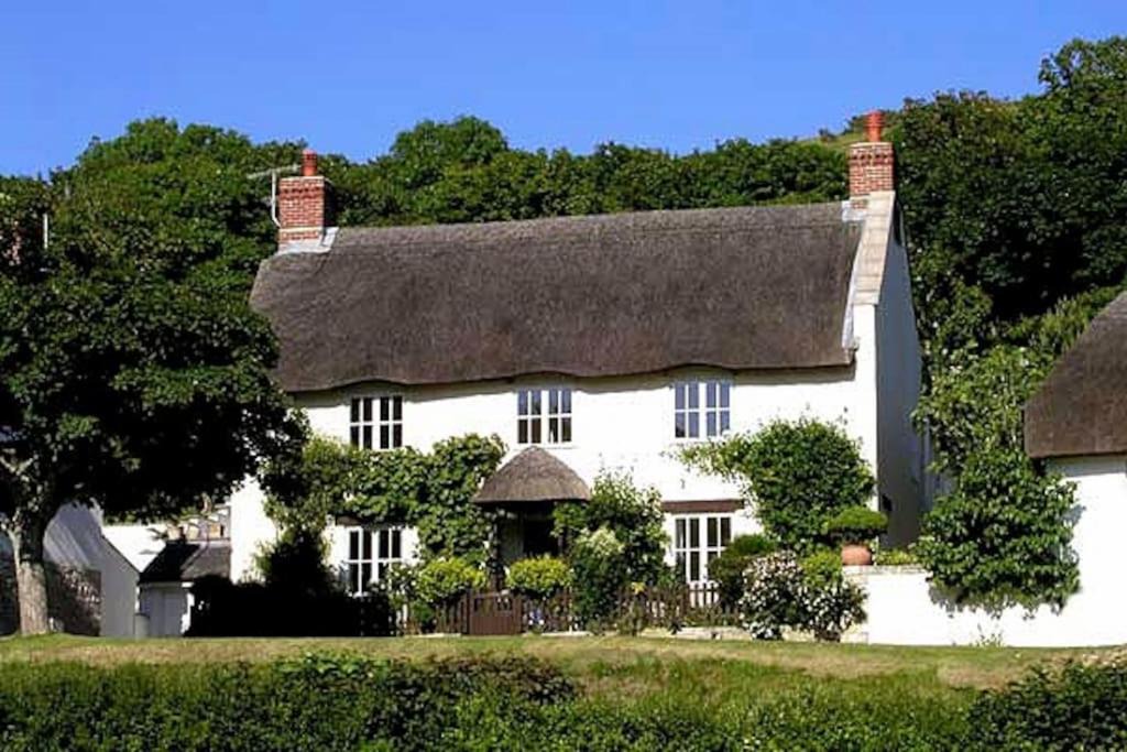 Photo of Others in West Lulworth
