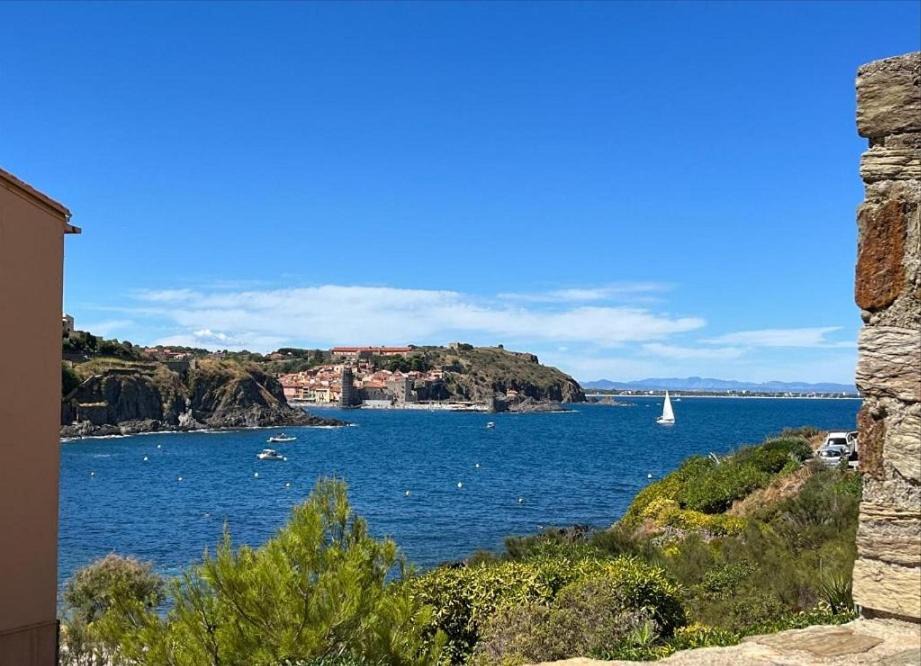 Photo of Others in Collioure