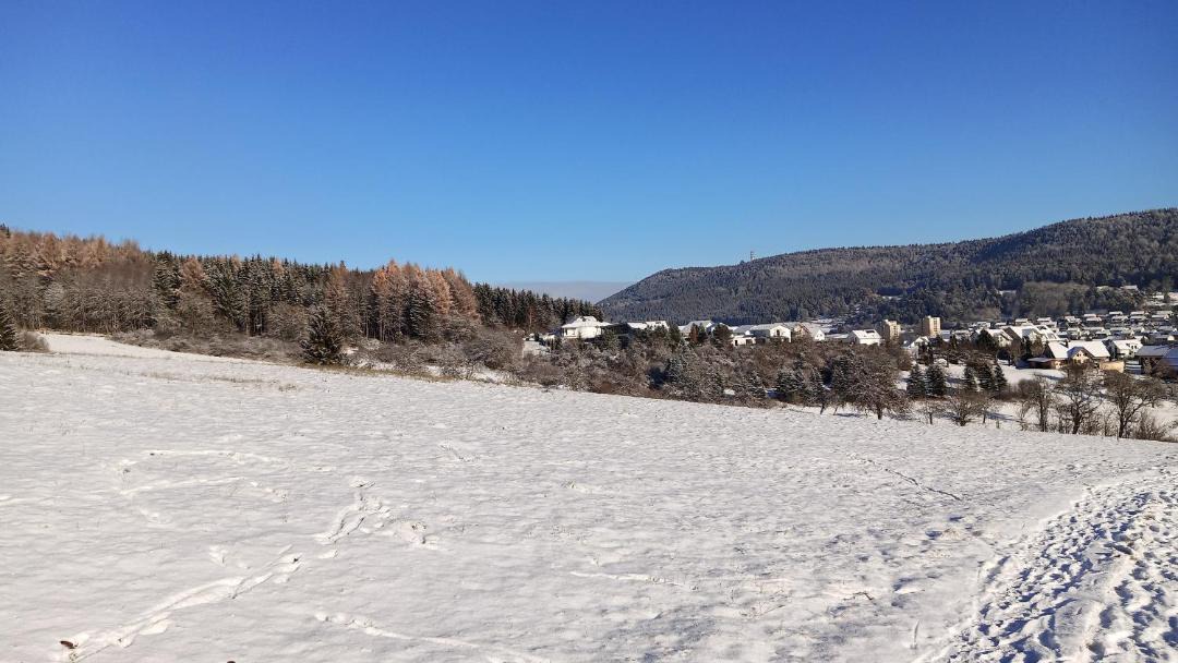 Photo of Others in Wehingen