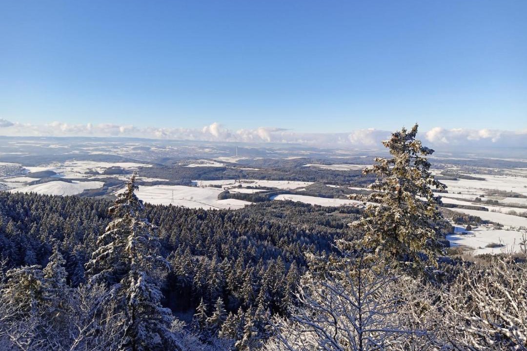 Photo of Others in Wehingen