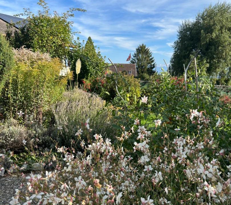 Photo of Outdoor in Le Vaud
