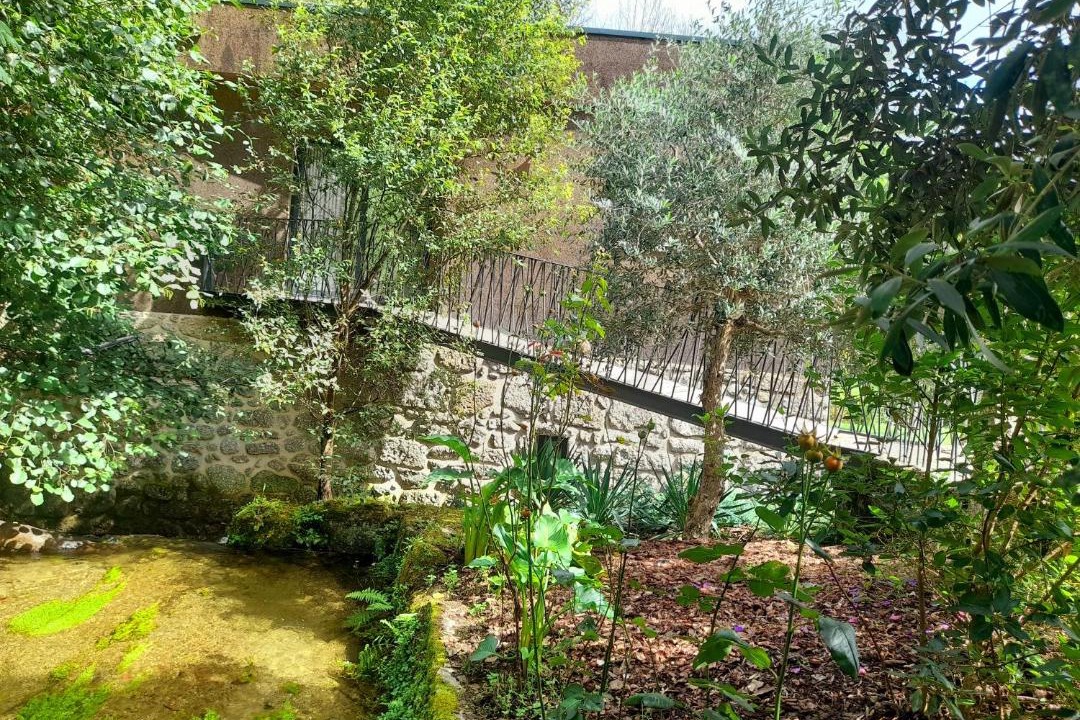 Photo of Outdoor in Bico