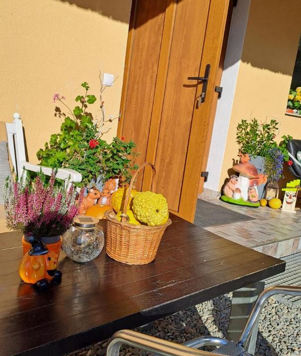 Photo of Patio Balcony in Cartisoara