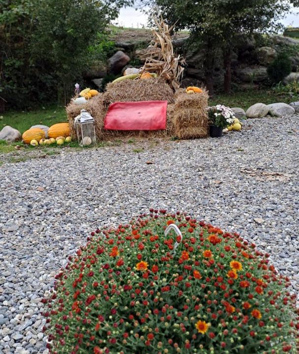 Photo of Outdoor in Cartisoara