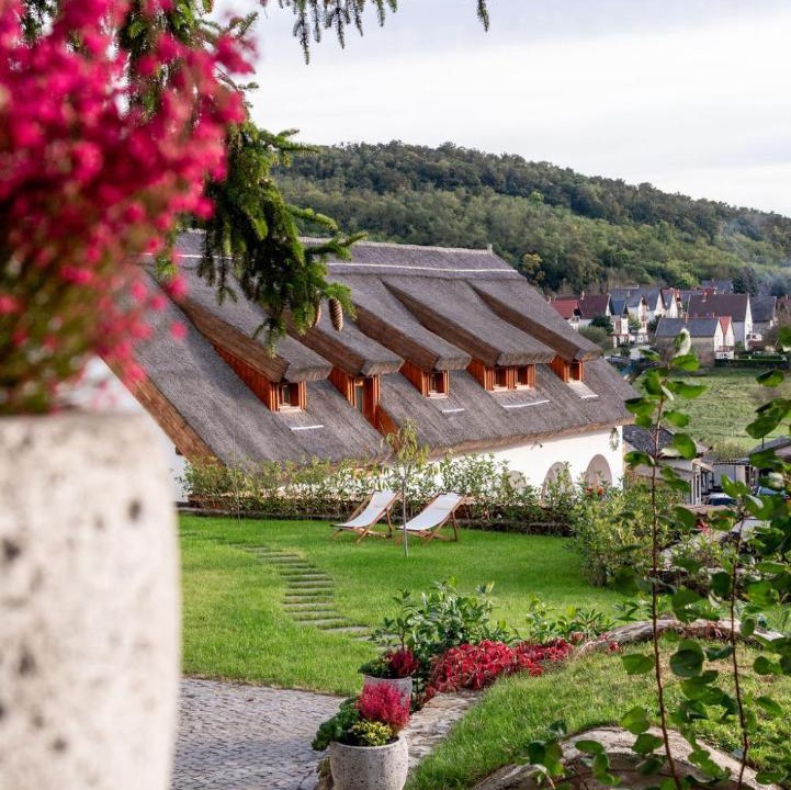 Photo of Others in Szigliget