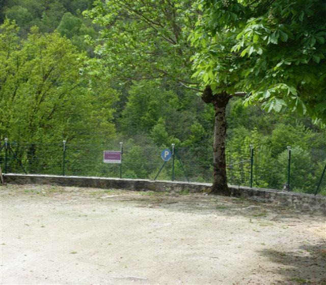 Photo of Others in Belcastel