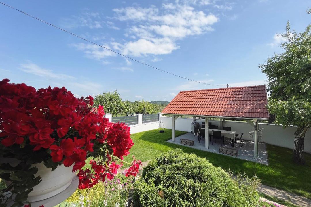 Photo of Others in Balatonhenye