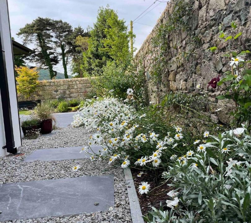 Photo of Others in Rostrevor