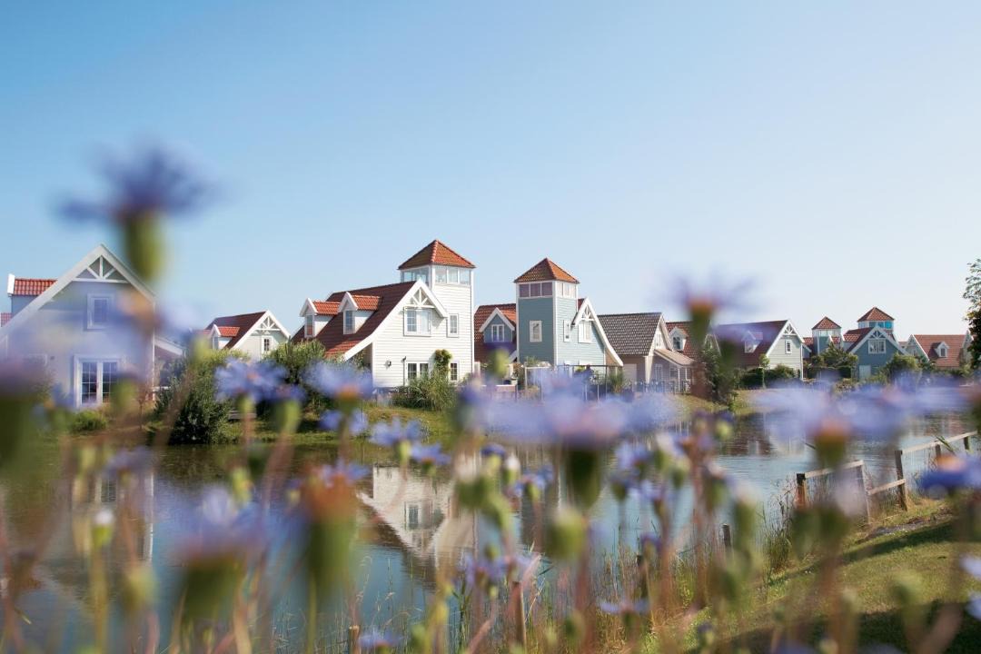 Photo of Others in 's-Gravenzande