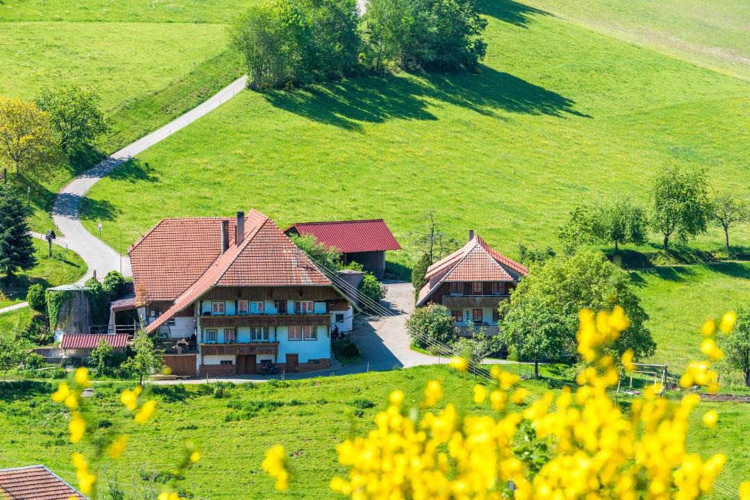 Photo of Others in Muehlenbach