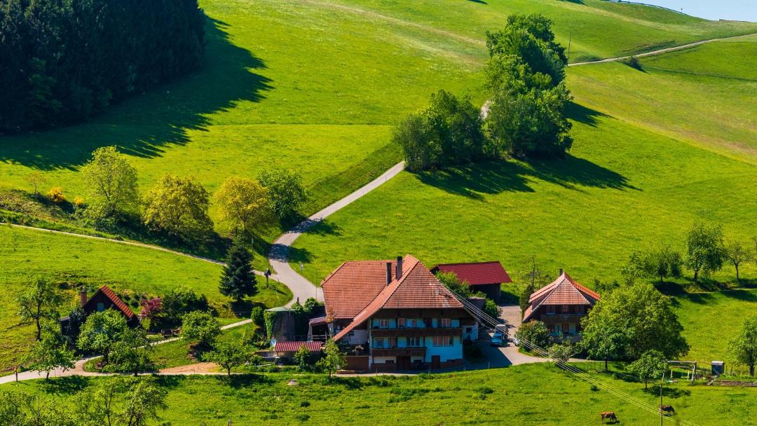 Photo of Others in Muehlenbach