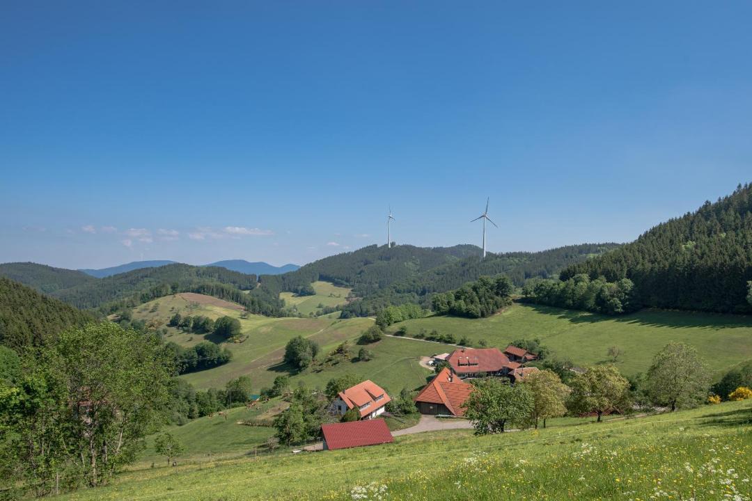Photo of Others in Muehlenbach