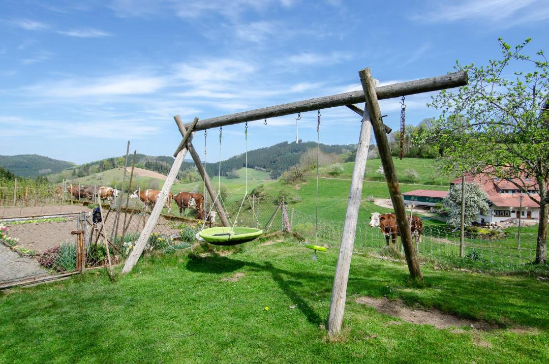 Photo of Others in Muehlenbach