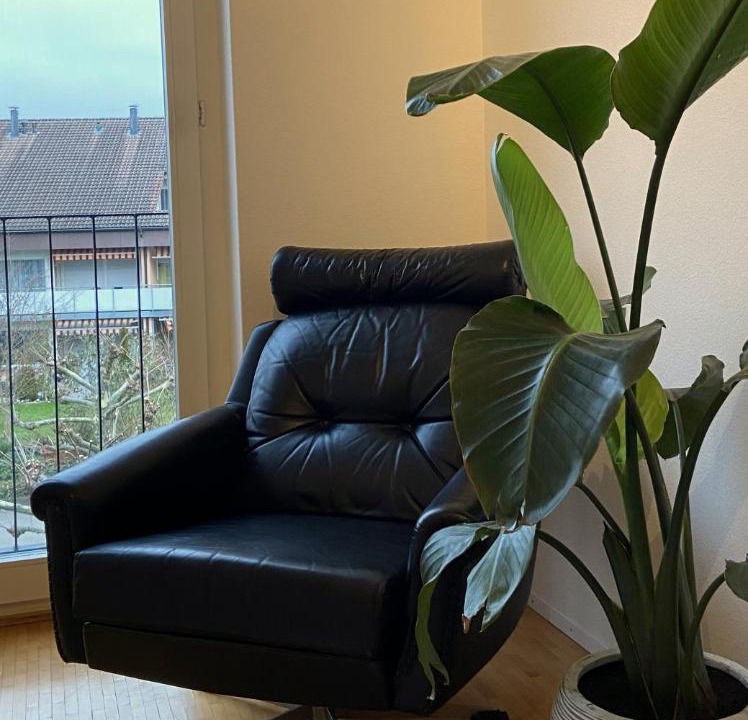 Photo of Livingroom in Gebenstorf