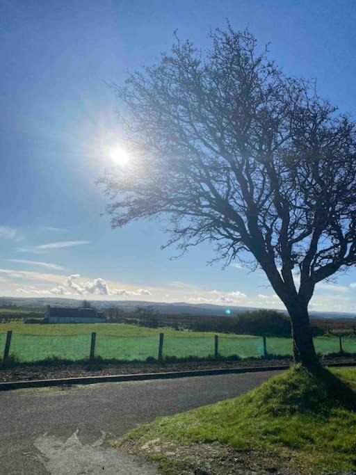 Photo of Outdoor in Omagh