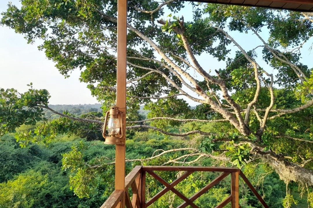 Photo of Others in Palatupana