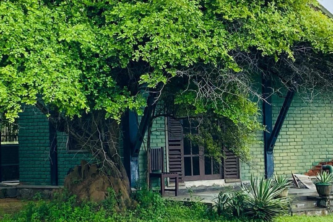 Photo of Others in Palatupana