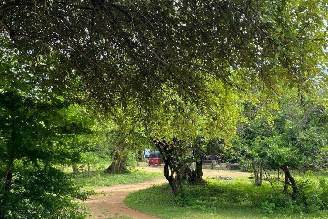 Photo of Outdoor in Palatupana