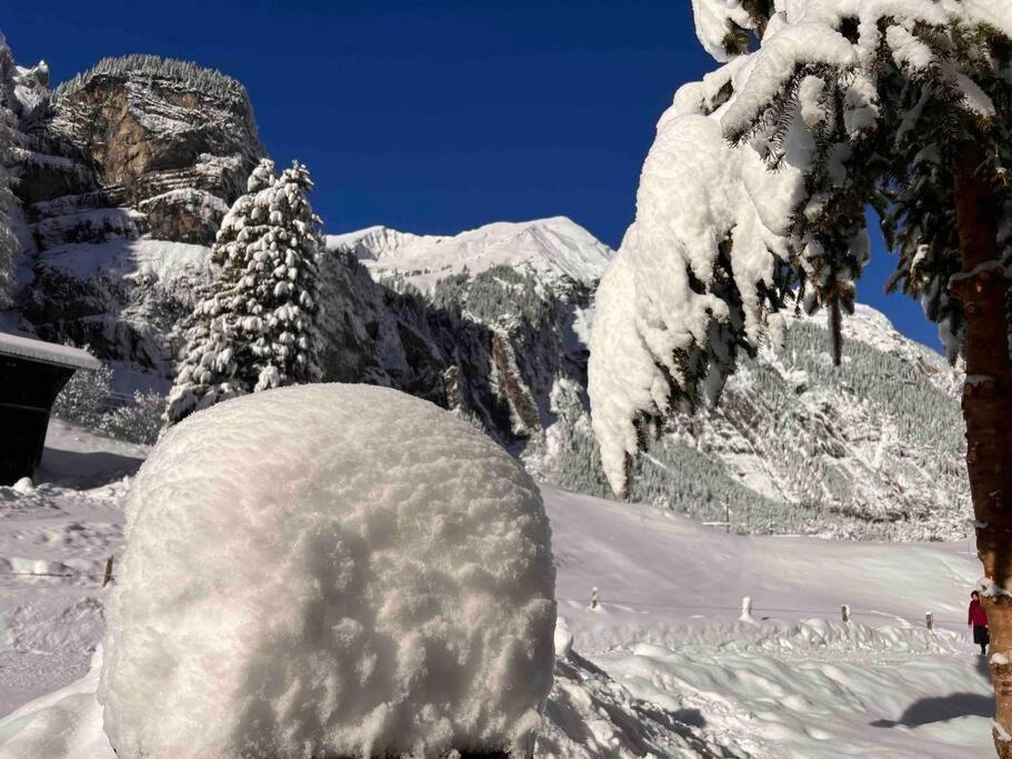 Photo of Others in Kandersteg