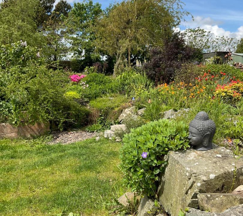 Photo of Others in Bankend