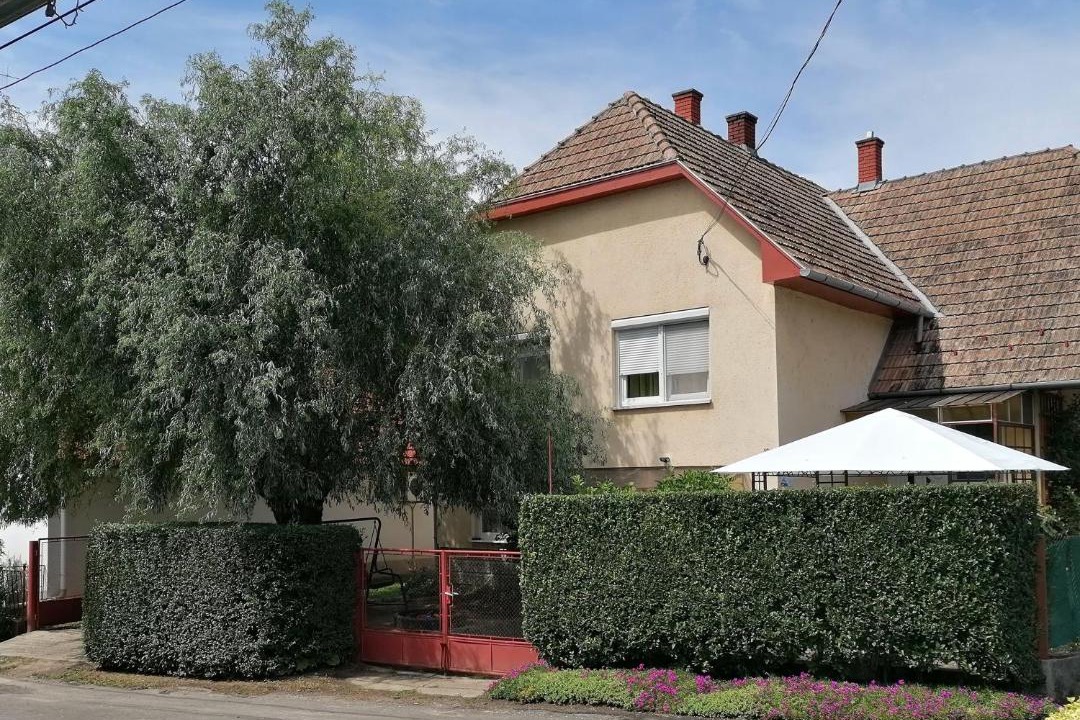 Photo of Others in Szolad
