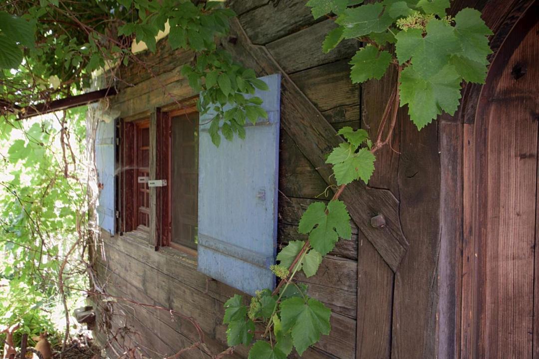 Photo of Others in Buhlingen