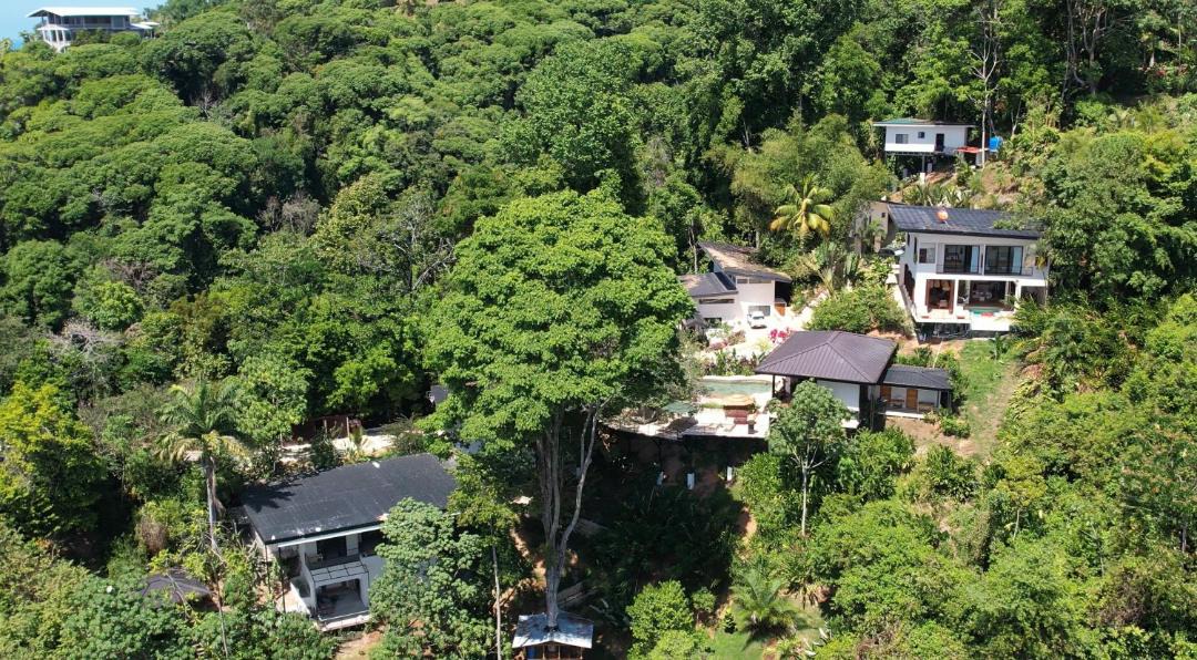 Photo of Others in Dominical