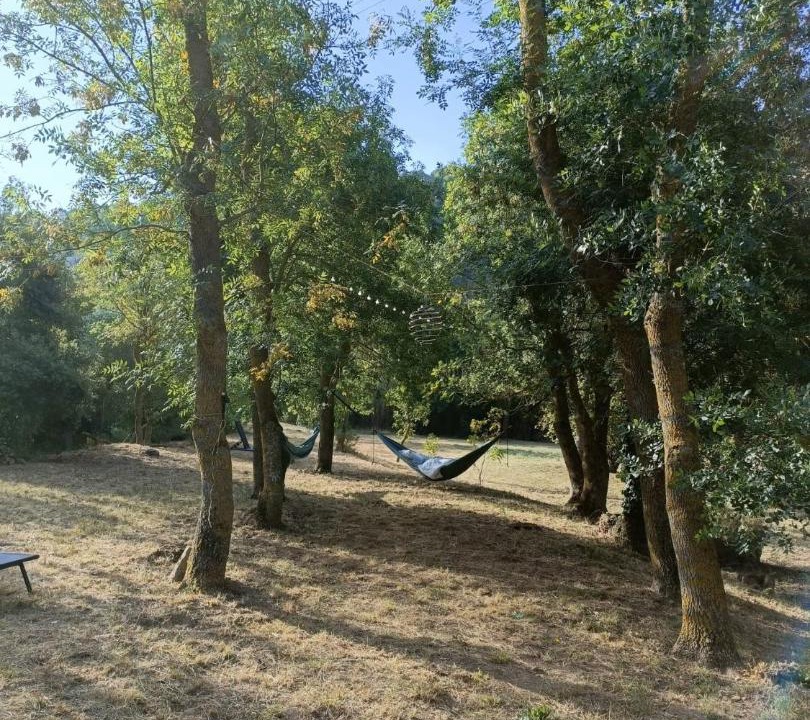 Photo of Others in Lagrasse
