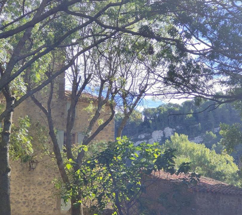 Photo of Others in Lagrasse