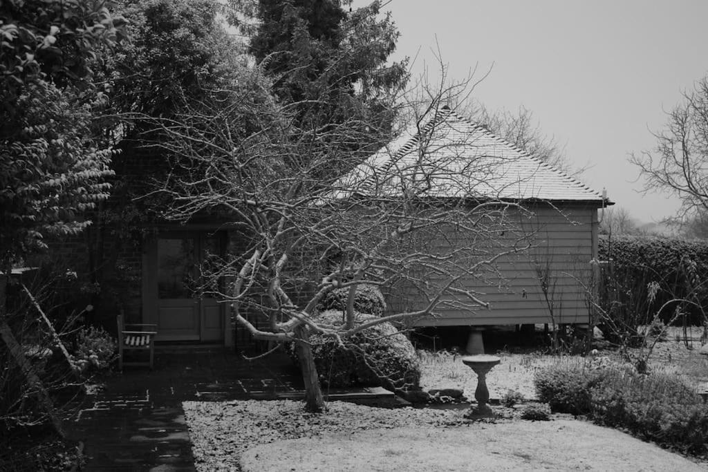 Photo of Others in Etchinghill