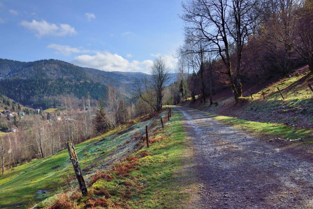 Photo of Others in Saint-Maurice-sur-Moselle
