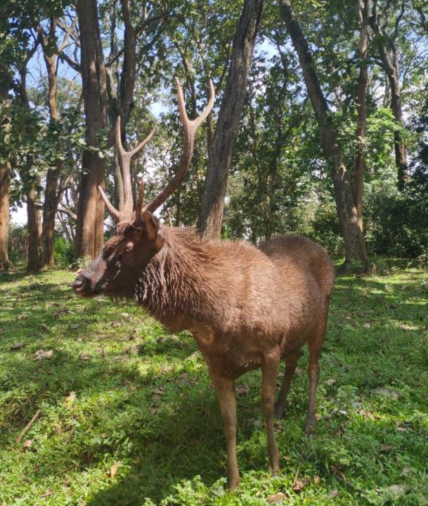 Photo of Others in Kumily