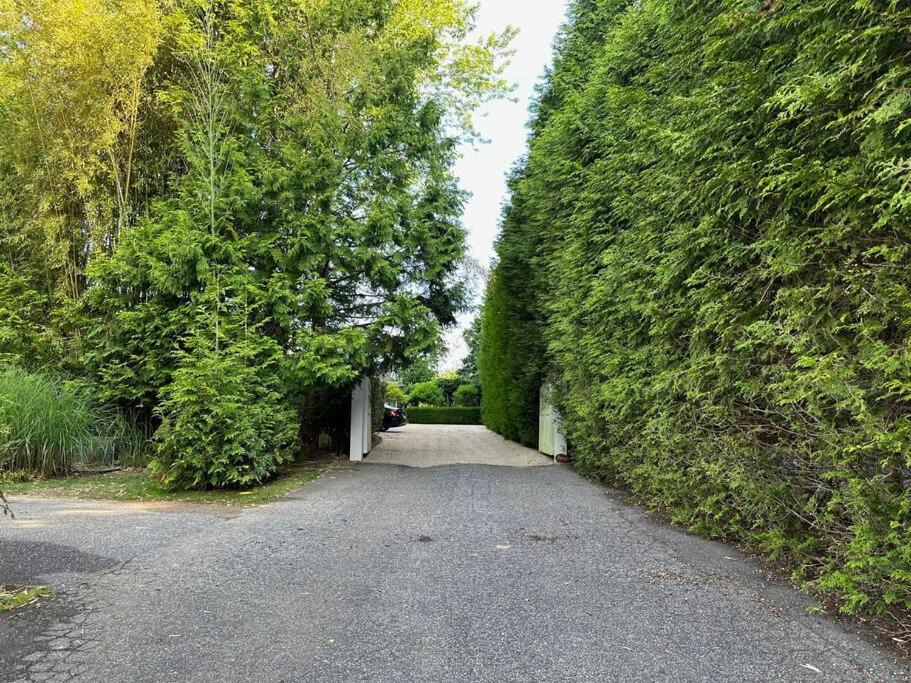 Photo of Others in Bridgehampton