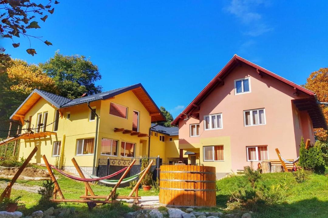 Photo of Buildings in Bran
